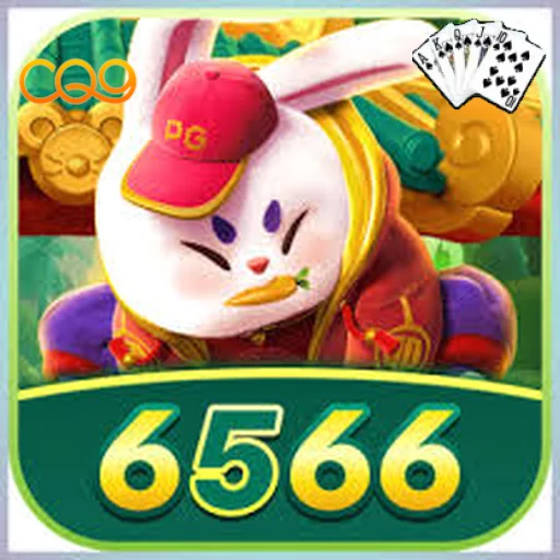 6566