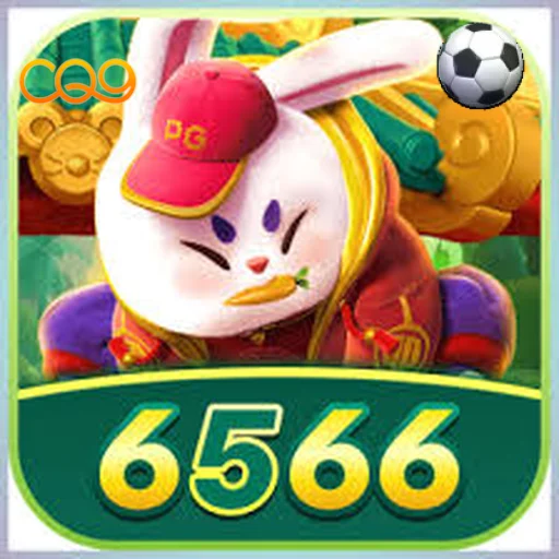 6566