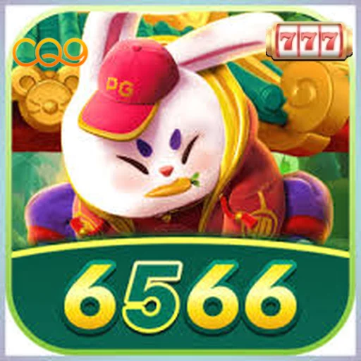 6566